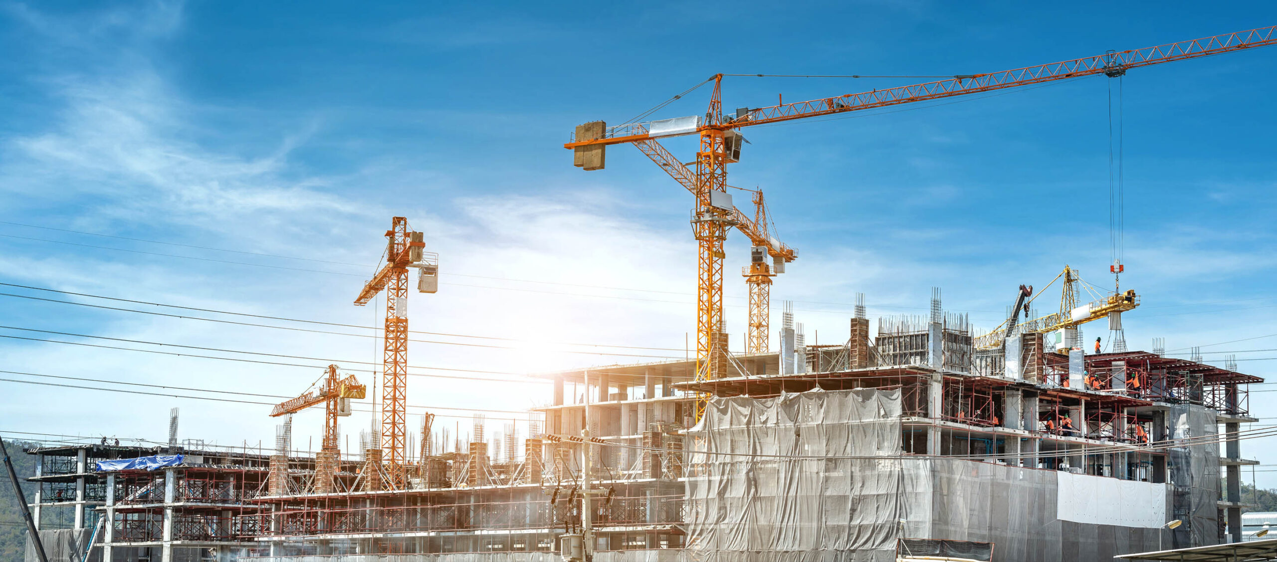 An illustration of a conflict mediation concept, depicting a pro